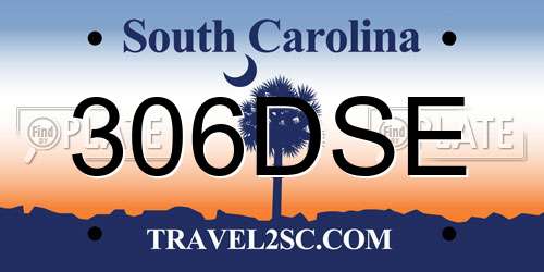 306DSE South Carolina License Plate