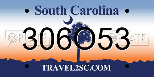 306O53 South Carolina License Plate