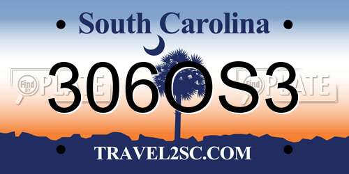 306OS3 South Carolina License Plate