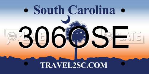 306OSE South Carolina License Plate