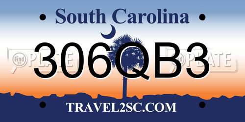 306QB3 South Carolina License Plate