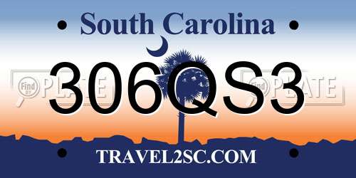 306QS3 South Carolina License Plate