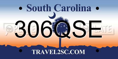306QSE South Carolina License Plate