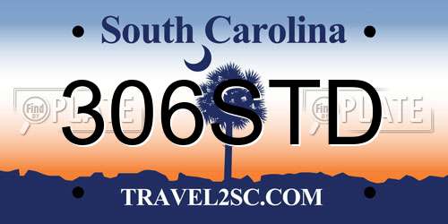 306STD South Carolina License Plate