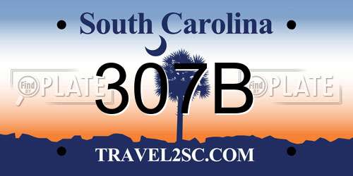 307B South Carolina License Plate