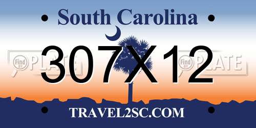 307X12 South Carolina License Plate