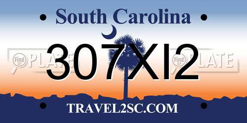 307XI2 South Carolina License Plate