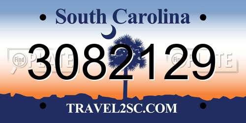 3082129 South Carolina License Plate