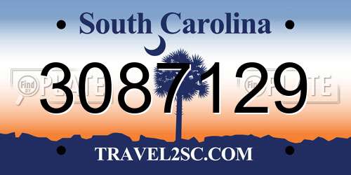 3087129 South Carolina License Plate