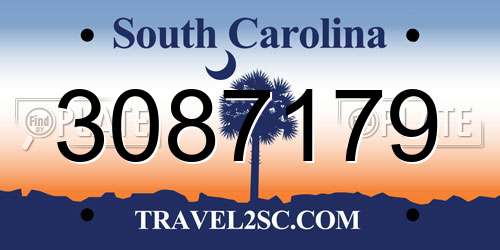 3087179 South Carolina License Plate