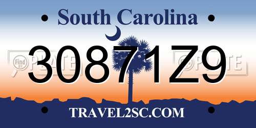30871Z9 South Carolina License Plate