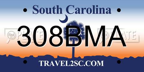 308BMA South Carolina License Plate