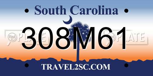 308M61 South Carolina License Plate