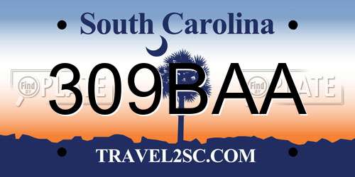 309BAA South Carolina License Plate