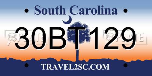 30BT129 South Carolina License Plate