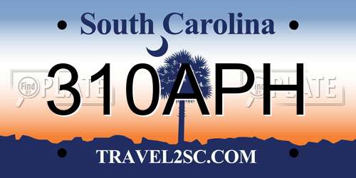 310APH South Carolina License Plate