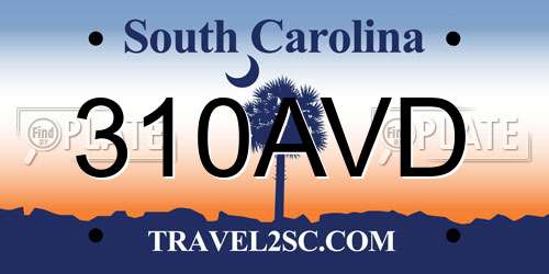 310AVD South Carolina License Plate