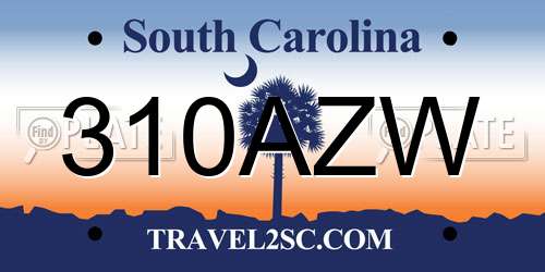 310AZW South Carolina License Plate