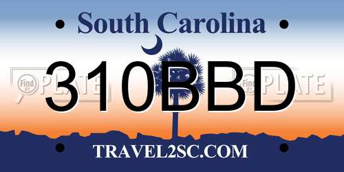 310BBD South Carolina License Plate