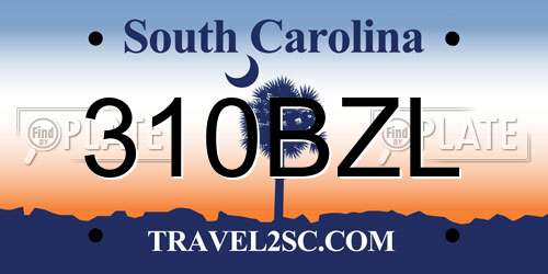 310BZL South Carolina License Plate