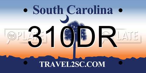 310DR South Carolina License Plate