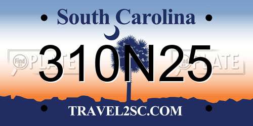 310N25 South Carolina License Plate