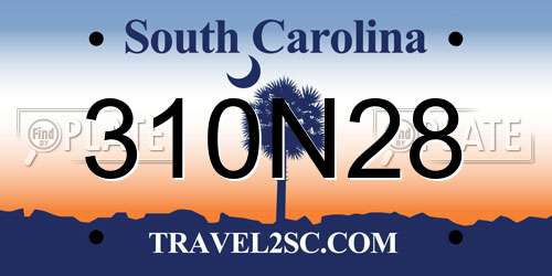 310N28 South Carolina License Plate