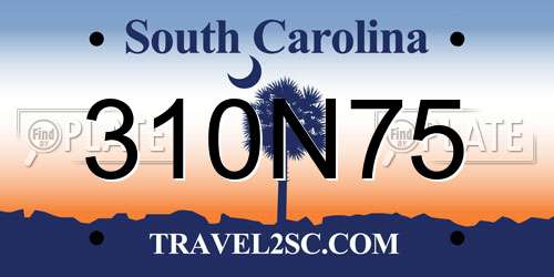 310N75 South Carolina License Plate