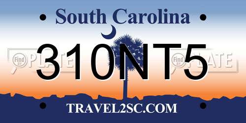 310NT5 South Carolina License Plate