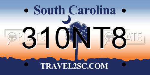 310NT8 South Carolina License Plate