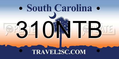 310NTB South Carolina License Plate