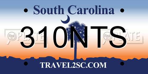 310NTS South Carolina License Plate