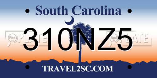 310NZ5 South Carolina License Plate
