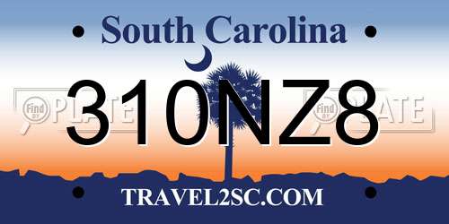 310NZ8 South Carolina License Plate