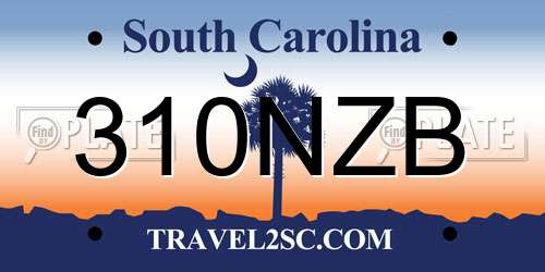 310NZB South Carolina License Plate
