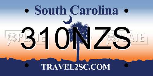 310NZS South Carolina License Plate