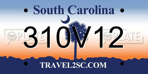 310V12 South Carolina License Plate