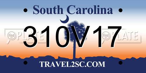 310V17 South Carolina License Plate