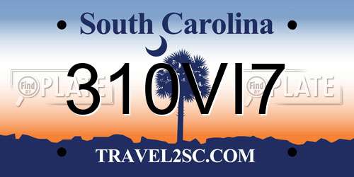 310VI7 South Carolina License Plate