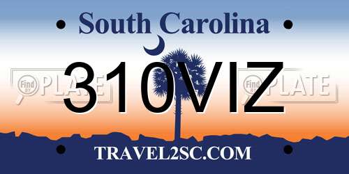 310VIZ South Carolina License Plate