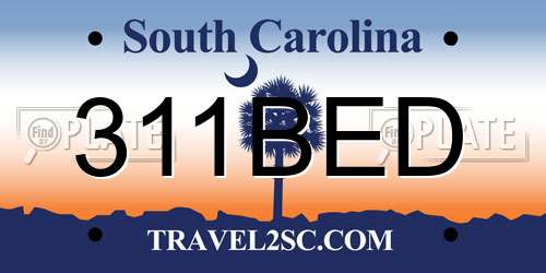 311BED South Carolina License Plate