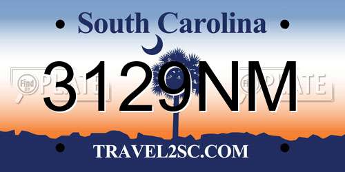 3129NM South Carolina License Plate