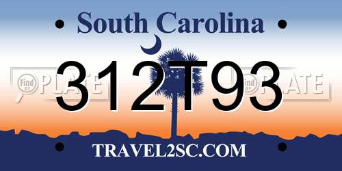 312T93 South Carolina License Plate