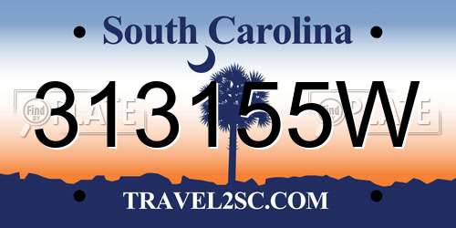 313155W South Carolina License Plate