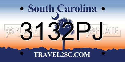 3132PJ South Carolina License Plate