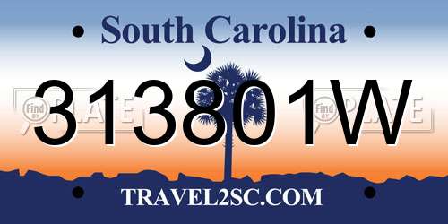 313801W South Carolina License Plate