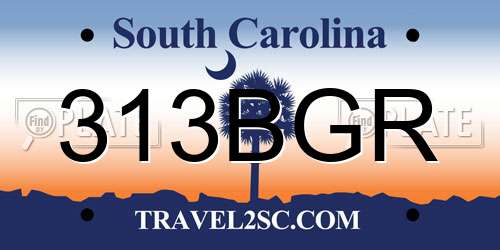 313BGR South Carolina License Plate