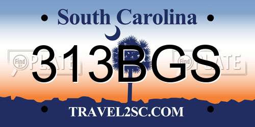 313BGS South Carolina License Plate