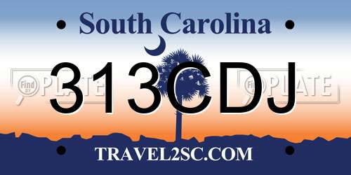 313CDJ South Carolina License Plate