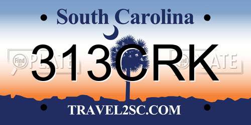 313CRK South Carolina License Plate